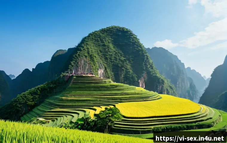 Cách dạy trẻ tôn trọng cơ thể và ranh giới: tiêu chí chọn học liệu, khóa học phù hợp 4 성교육과 성적 존중 관련 이미지 2